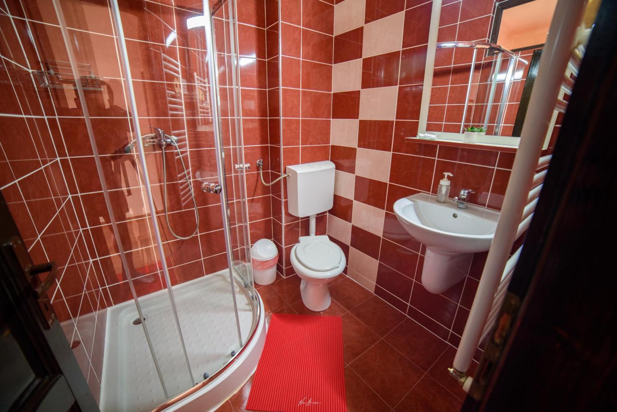 Casa Alina Villa Arieseni Bagian luar foto