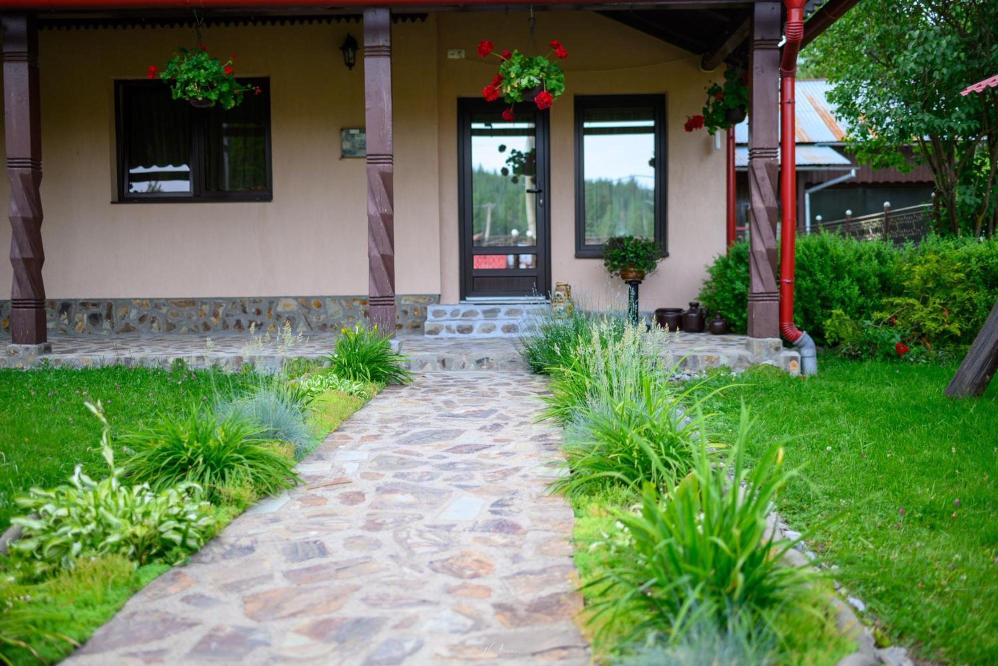 Casa Alina Villa Arieseni Bagian luar foto