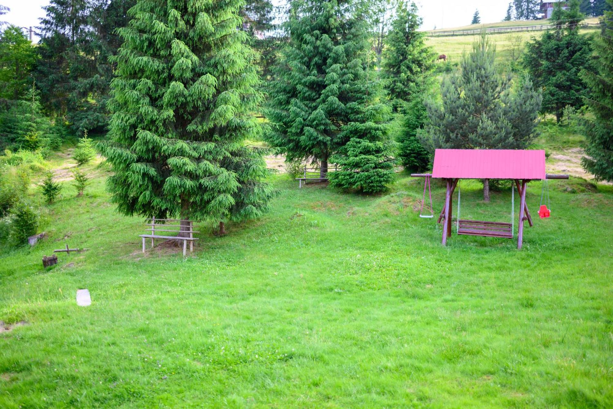 Casa Alina Villa Arieseni Bagian luar foto