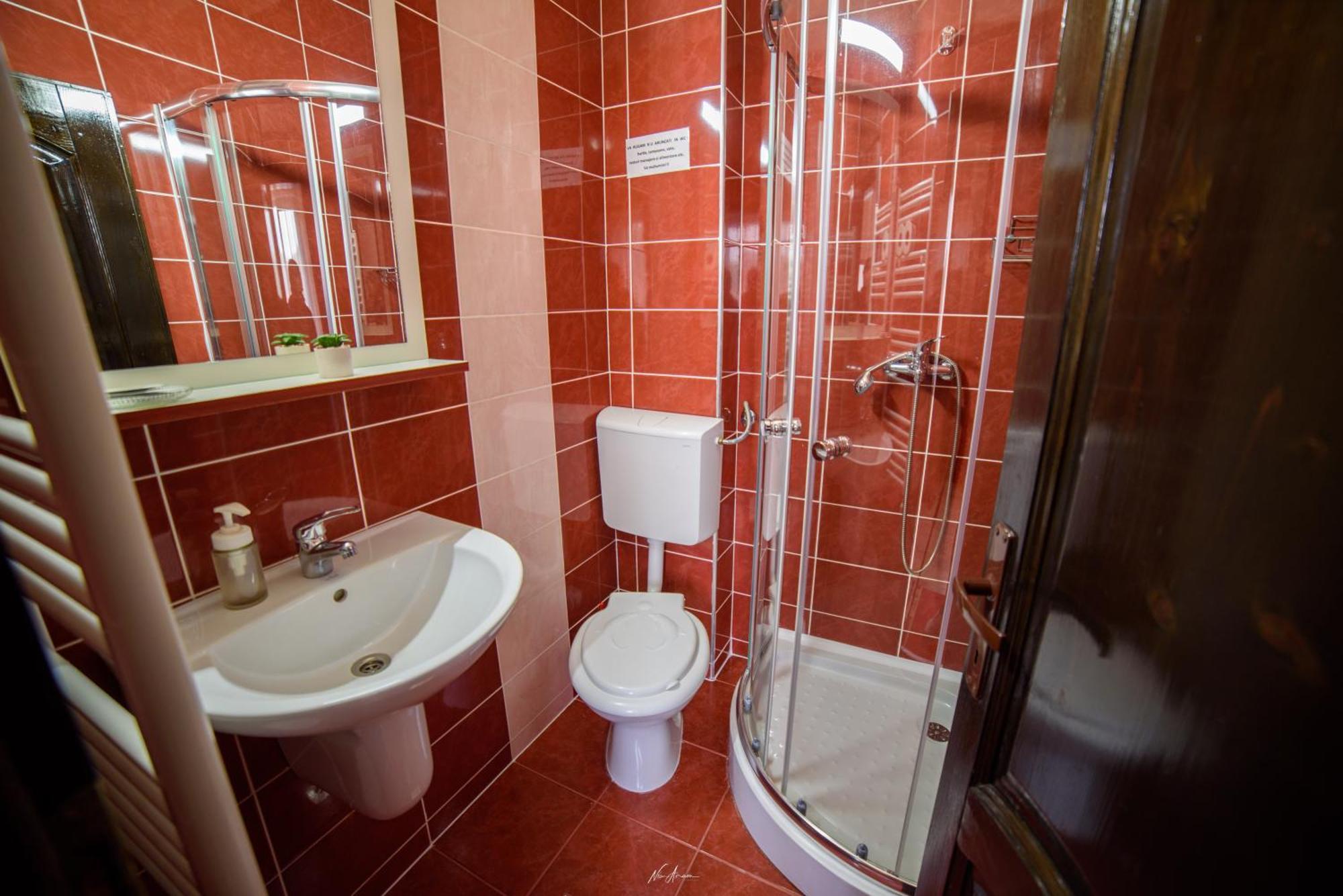 Casa Alina Villa Arieseni Bagian luar foto