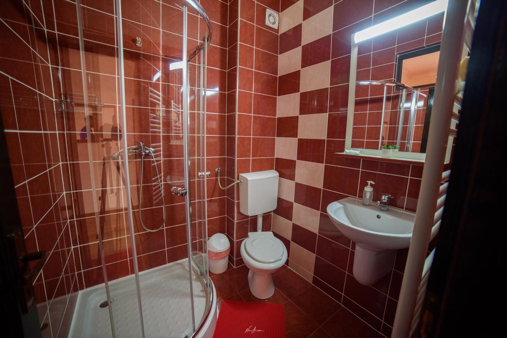 Casa Alina Villa Arieseni Bagian luar foto