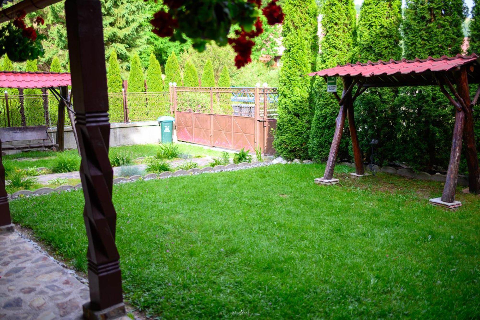 Casa Alina Villa Arieseni Bagian luar foto